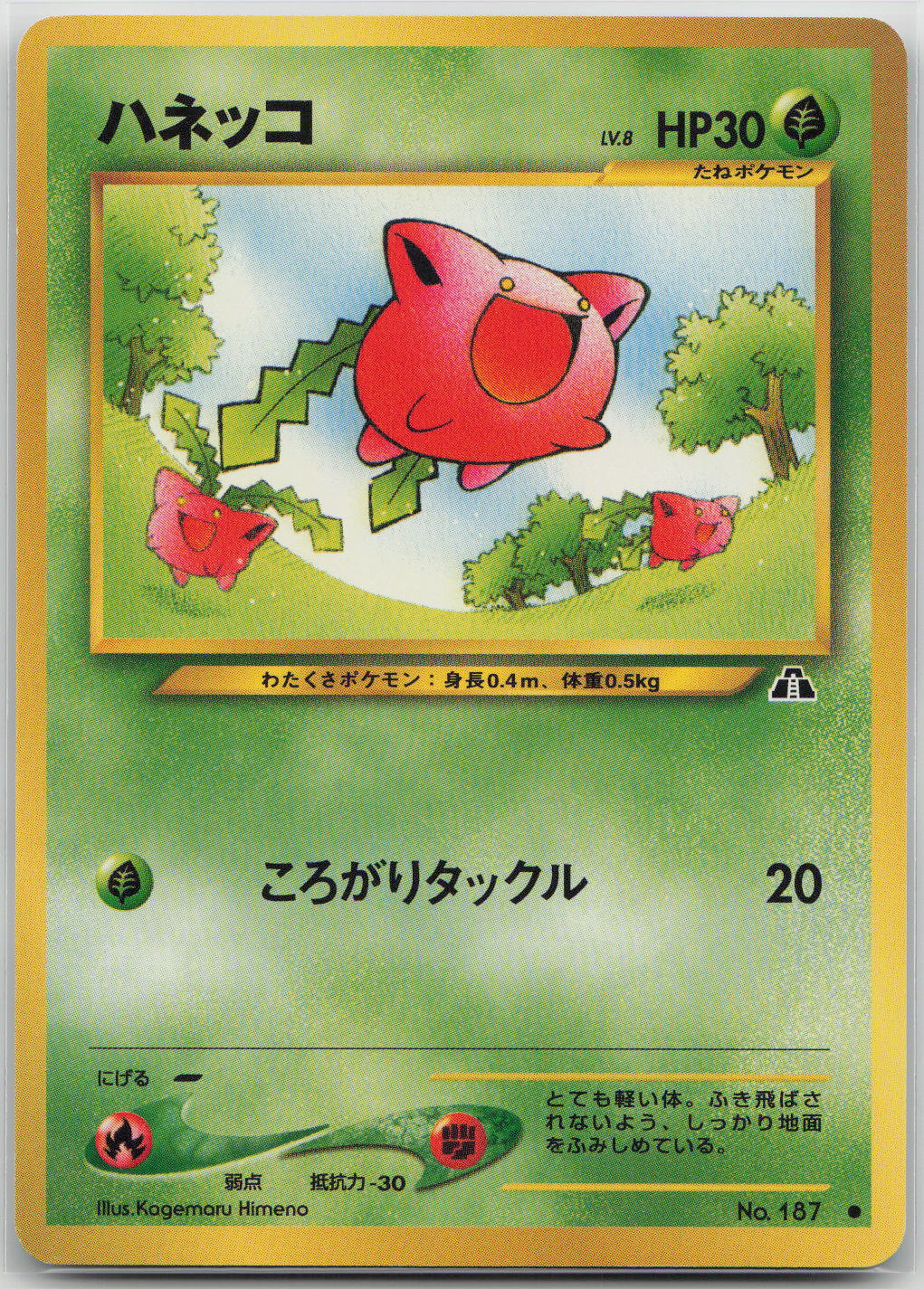 Hoppip Common Crossing the Ruins... LP